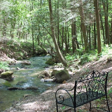 Private Creekside Cabin+Hot Tub,Pool Table, & Pets Ellijay Luaran gambar